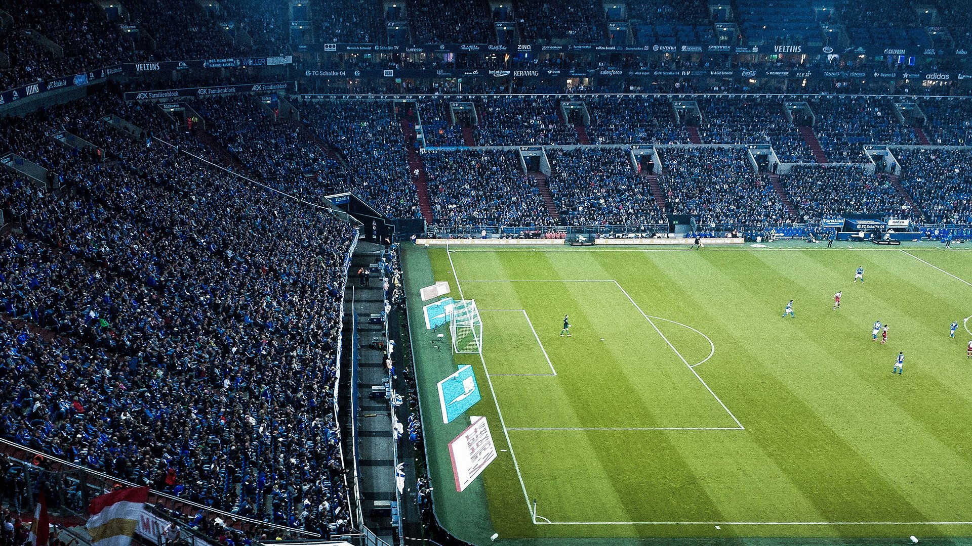 传奇宿命，当哈利伯顿的沉默风暴席卷浙江