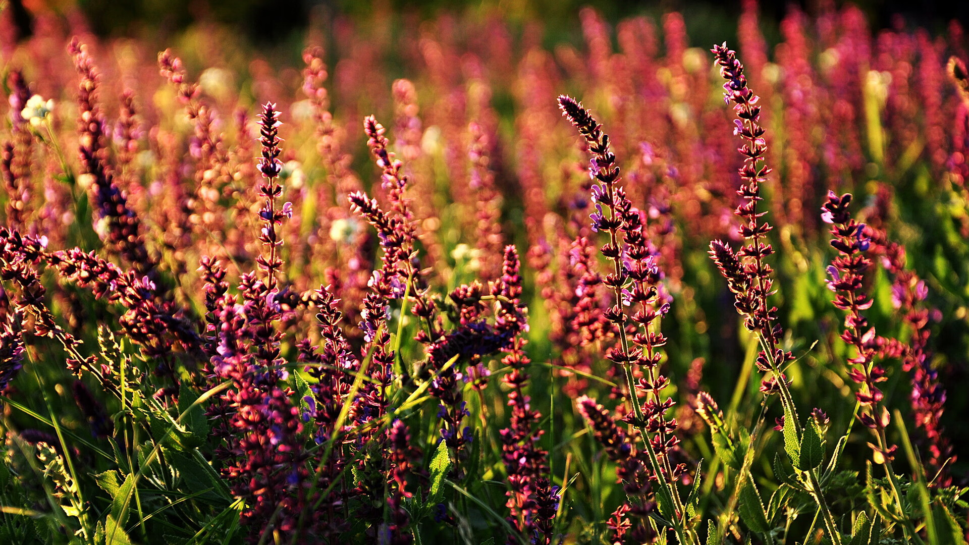 贝尔纳维球场的新定律，巴尔韦德如何用教科书级表现重写西班牙德比公式