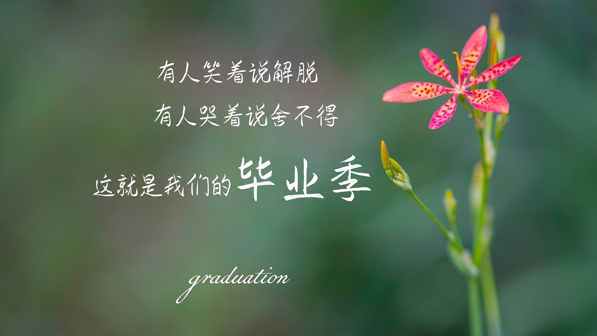 暗夜惊雷！小贾伦惊艳四座，吉林队爆冷击落老鹰