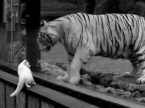 北欧冰原上的白色闪电，福登一箭定江山，皇马破冰芬兰创历史