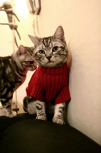 攻防魔术师,马克西何以在唯一性之战中重新定义统治?