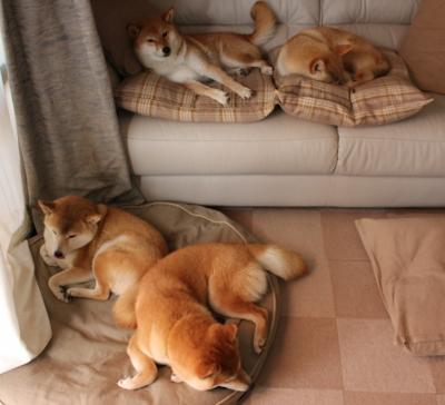 枪响之时，东契奇在抢七夜写下属于他的唯一传奇