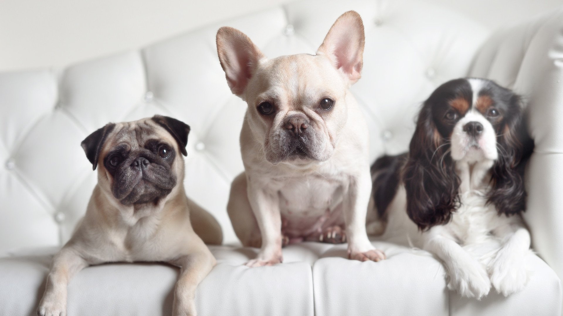 跨界巅峰战,莫兰特爆发引领勇士,提前终结山西队悬念