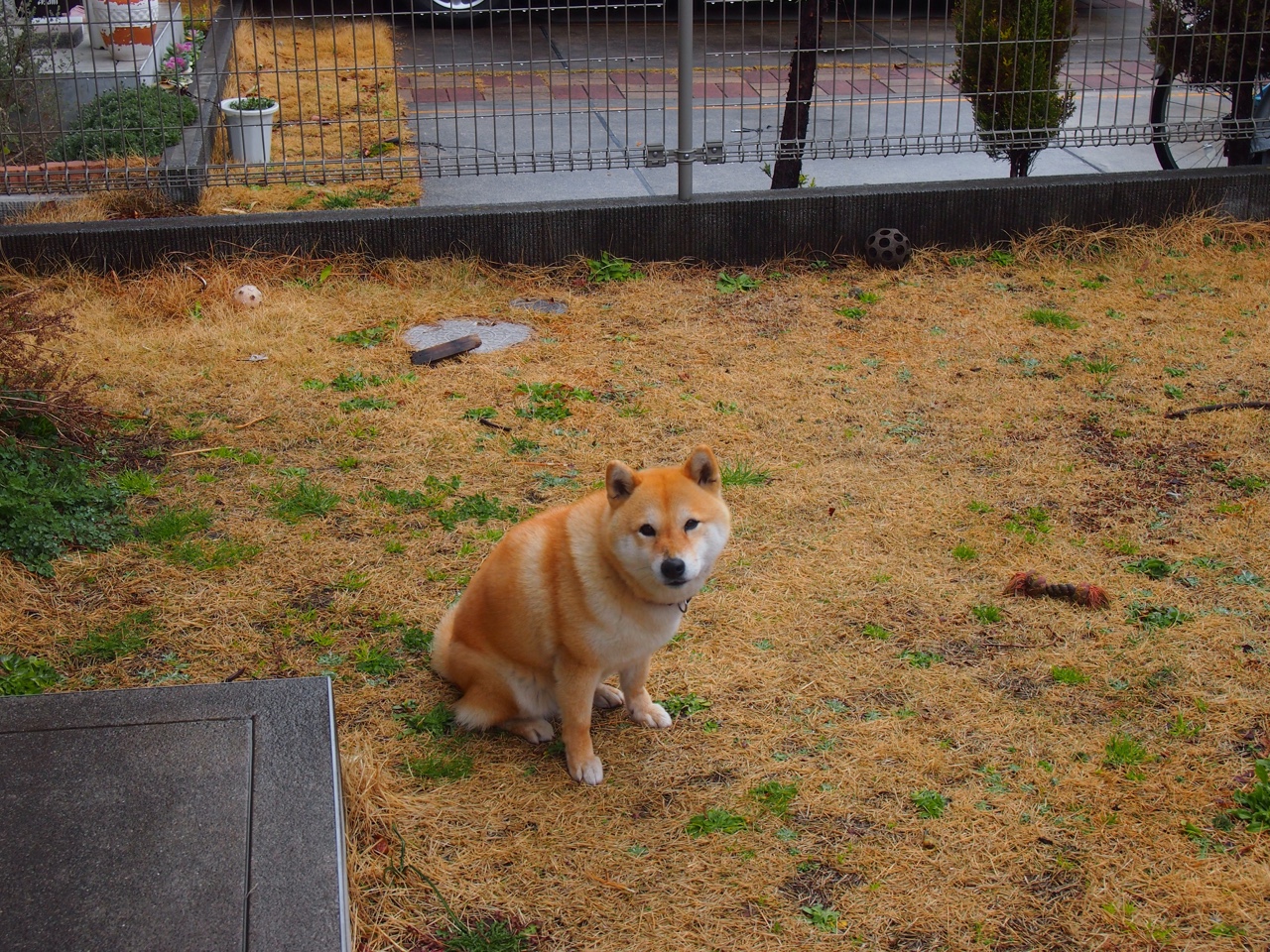 安哥拉以节奏掌控胜哥伦比亚，法比尼奥闪耀证明自我