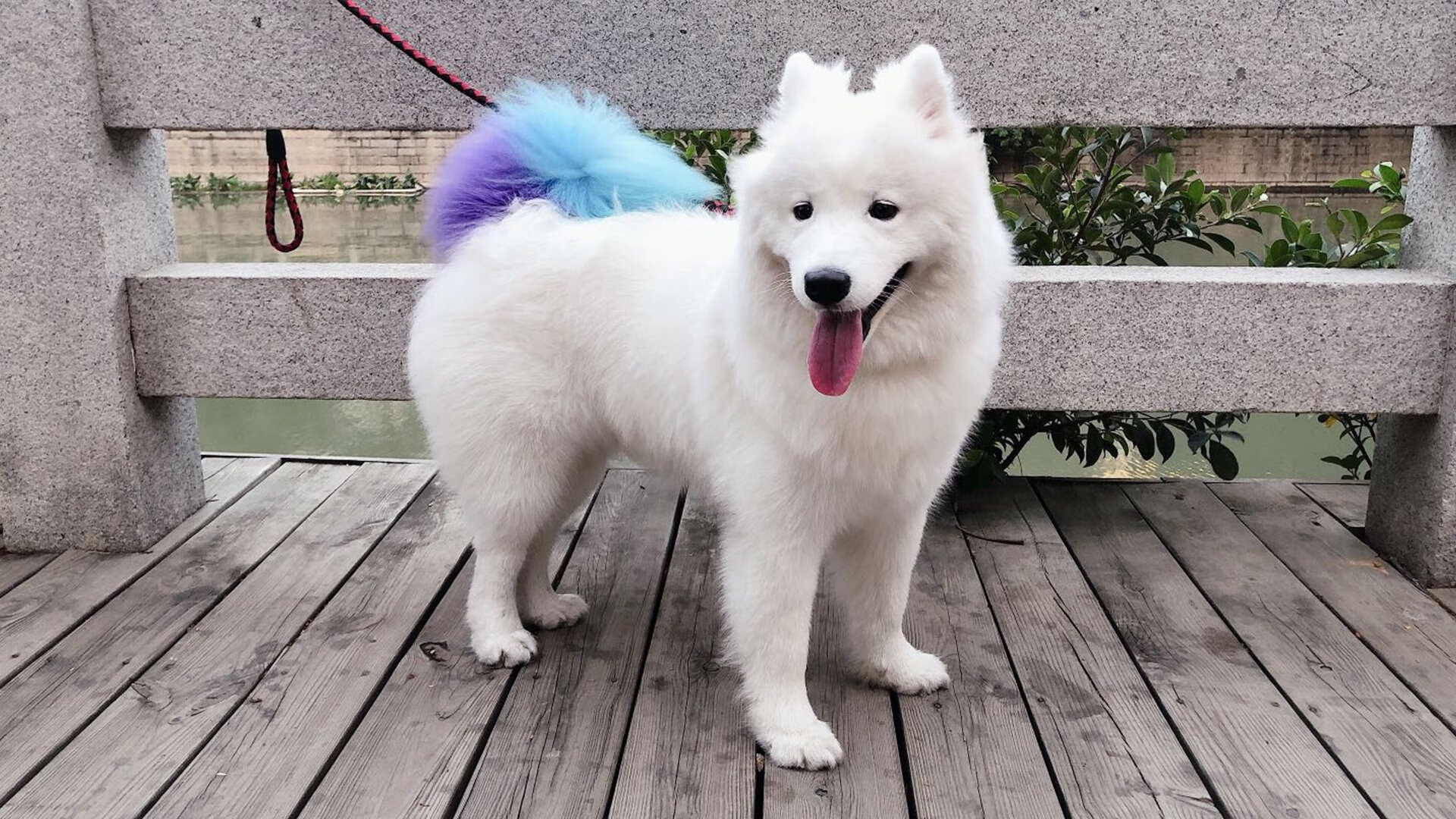 活塞引擎全开！篮网在防守弯道锁死退赛