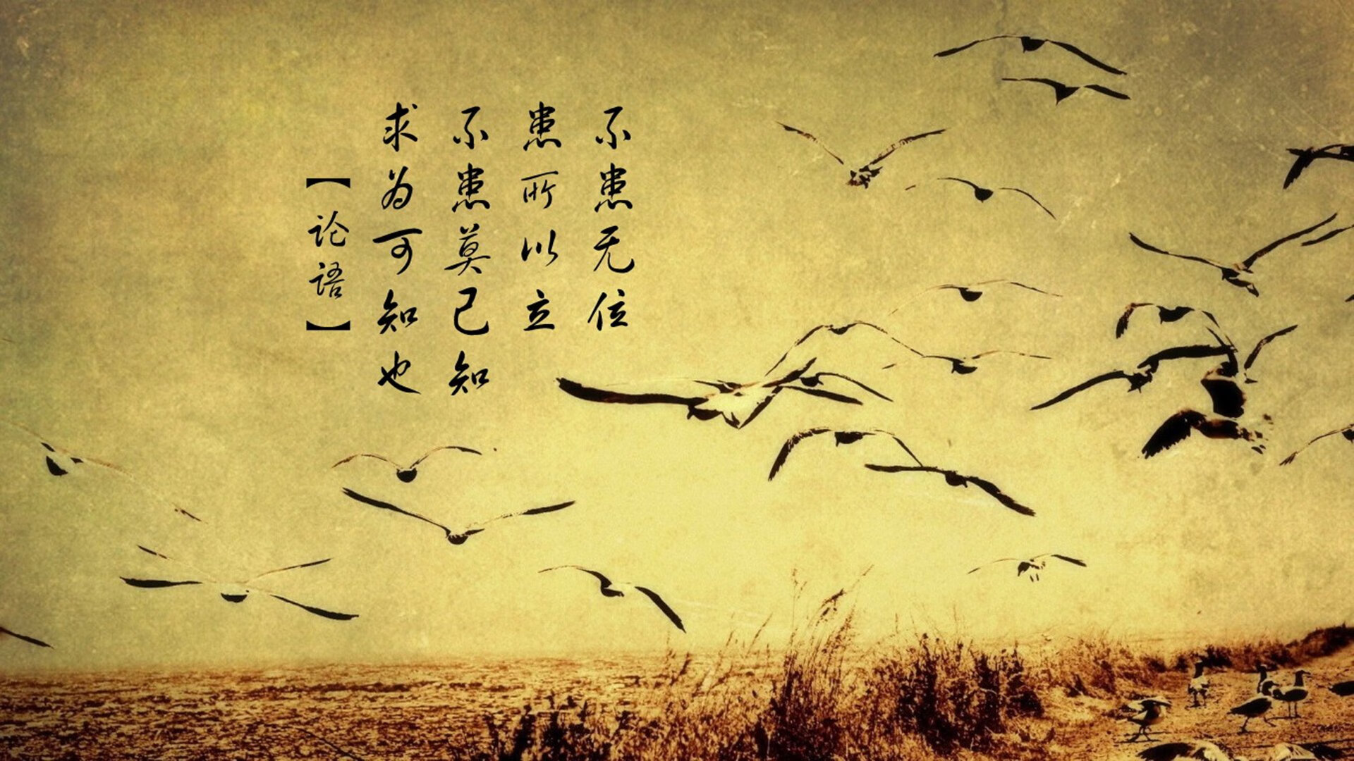 奥运关键战,韩国强势晋级,几内亚的梦想破碎之夜