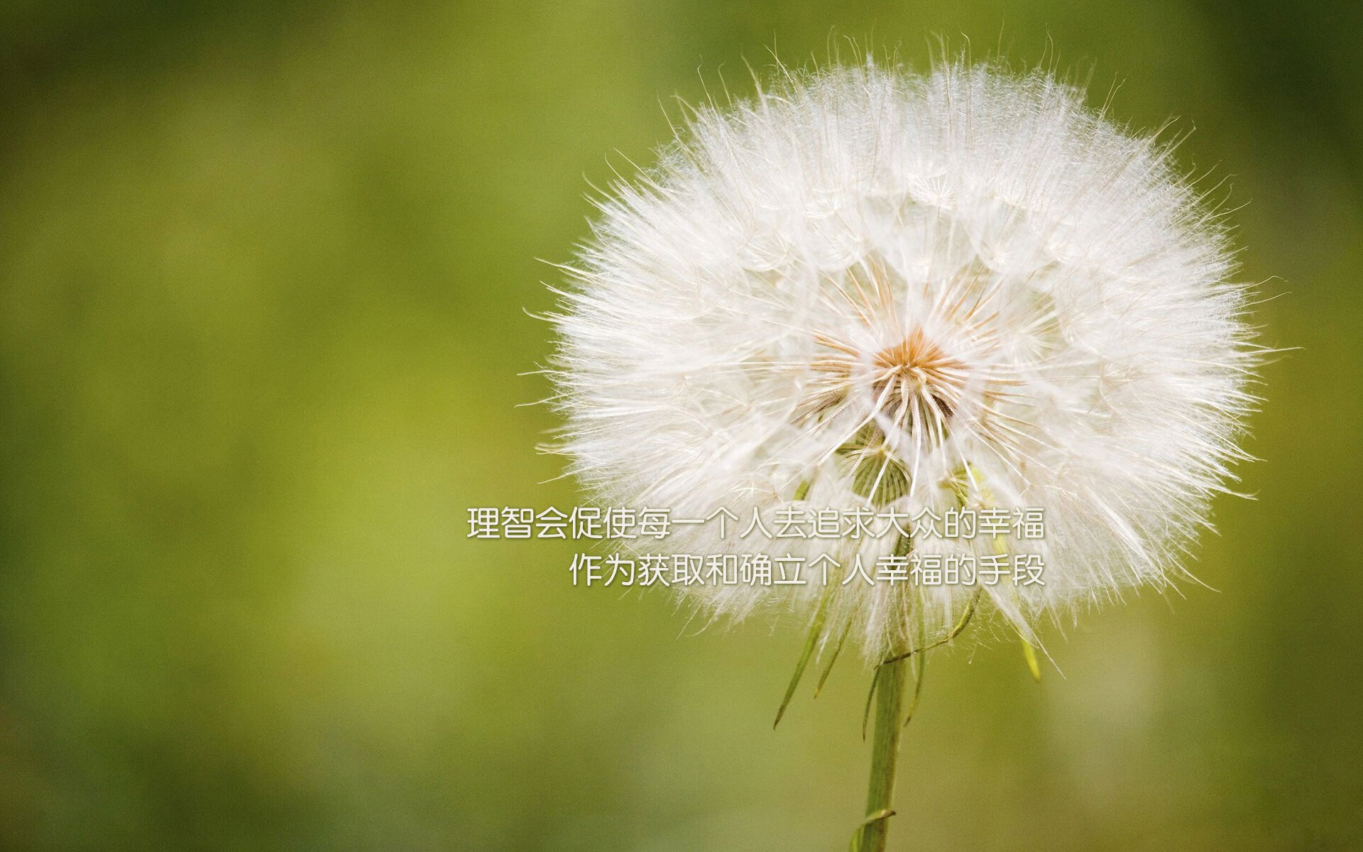 团队的协奏曲，利物浦交响乐般的胜利与加维的冠军独奏