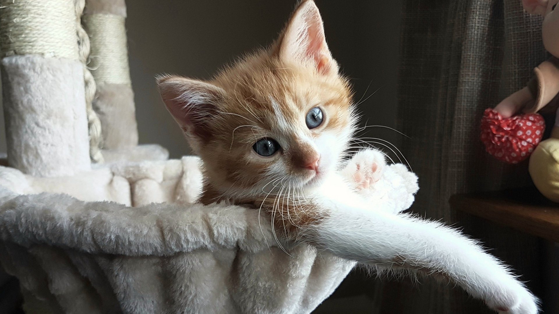 铁血枪手与孤胆英雄，阿森纳的体系强压与拉什福德的巨星时刻