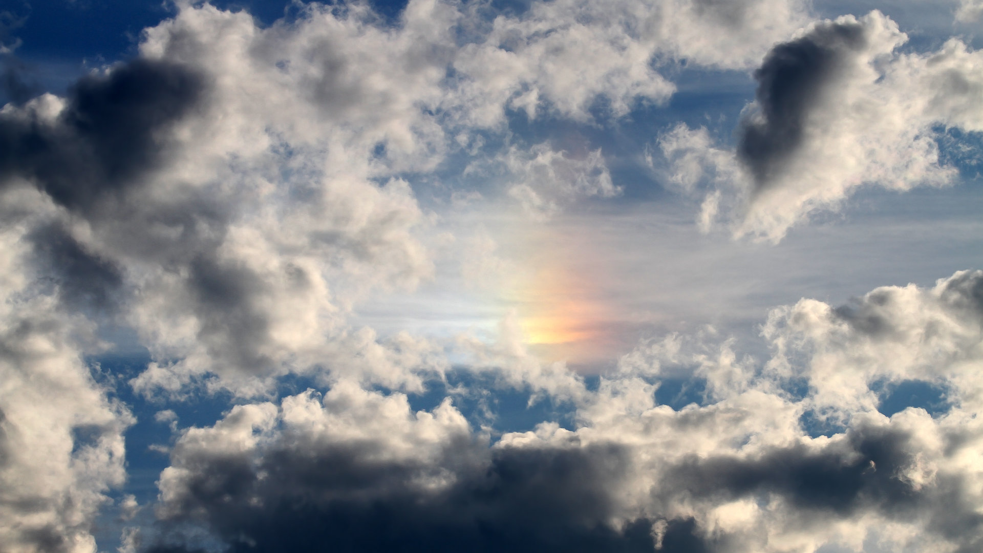 当黄蜂掀起逆转风暴,福克斯如何用一记冷静的三分点亮压力之夜?