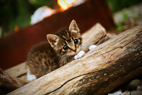 从关键传球到关键绝杀，德布劳内如何一夜间完成胜负手的定义革命？