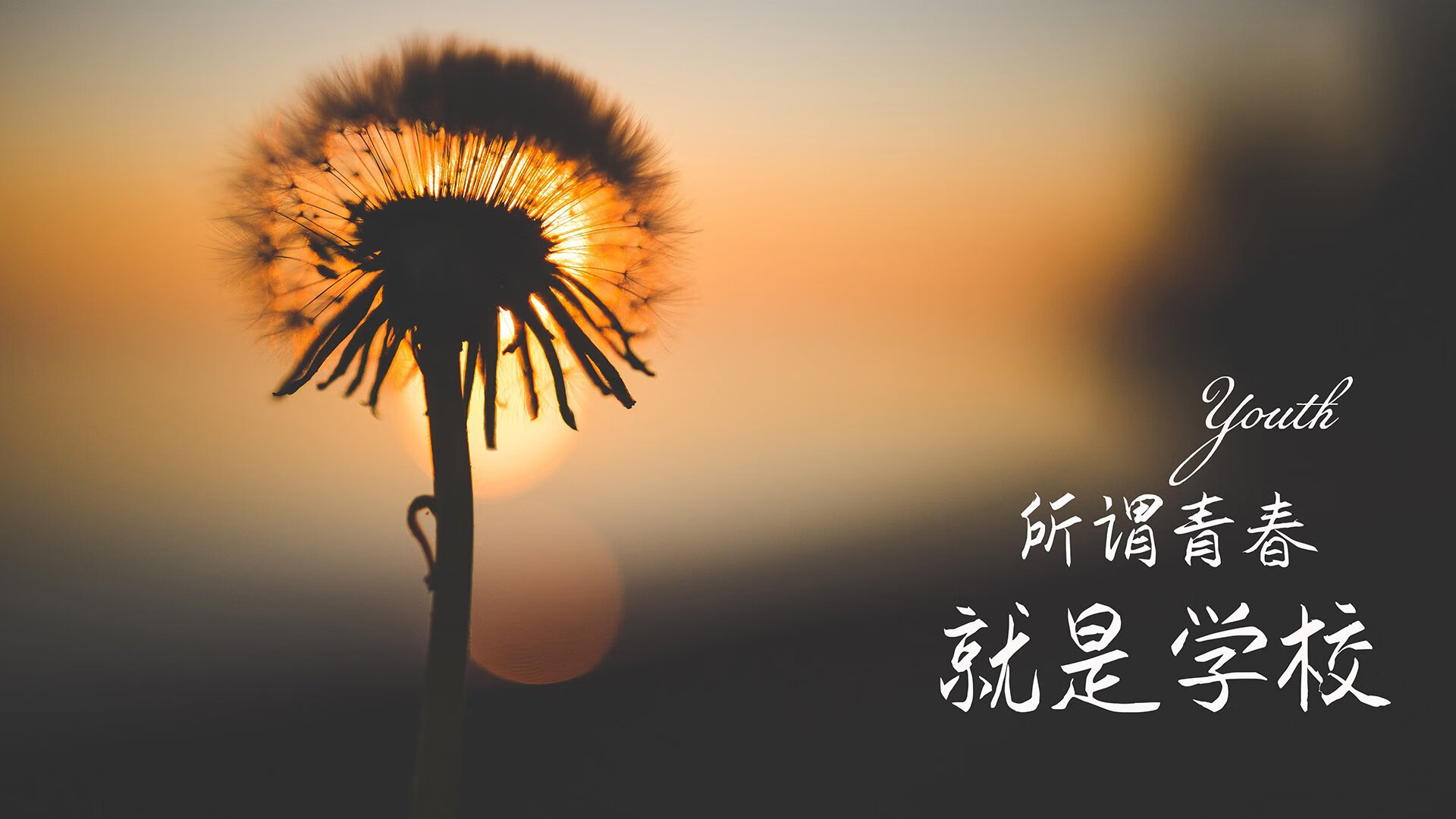 冰山崩裂与波斯闪电，2026世界杯那场颠覆强强对话定义的唯一之战