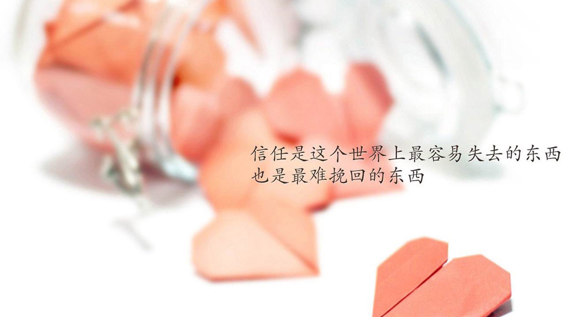红魔的唯一答案，当卢卡库的暴力美学撞上塞尔维亚的钢铁之墙，比利时用一场完胜定义何为无解