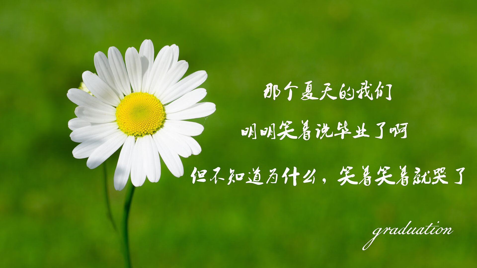沙暴中的铁壁，当高原之鹰撕开战术迷雾，卢卡库的致命一击凿穿G组格局