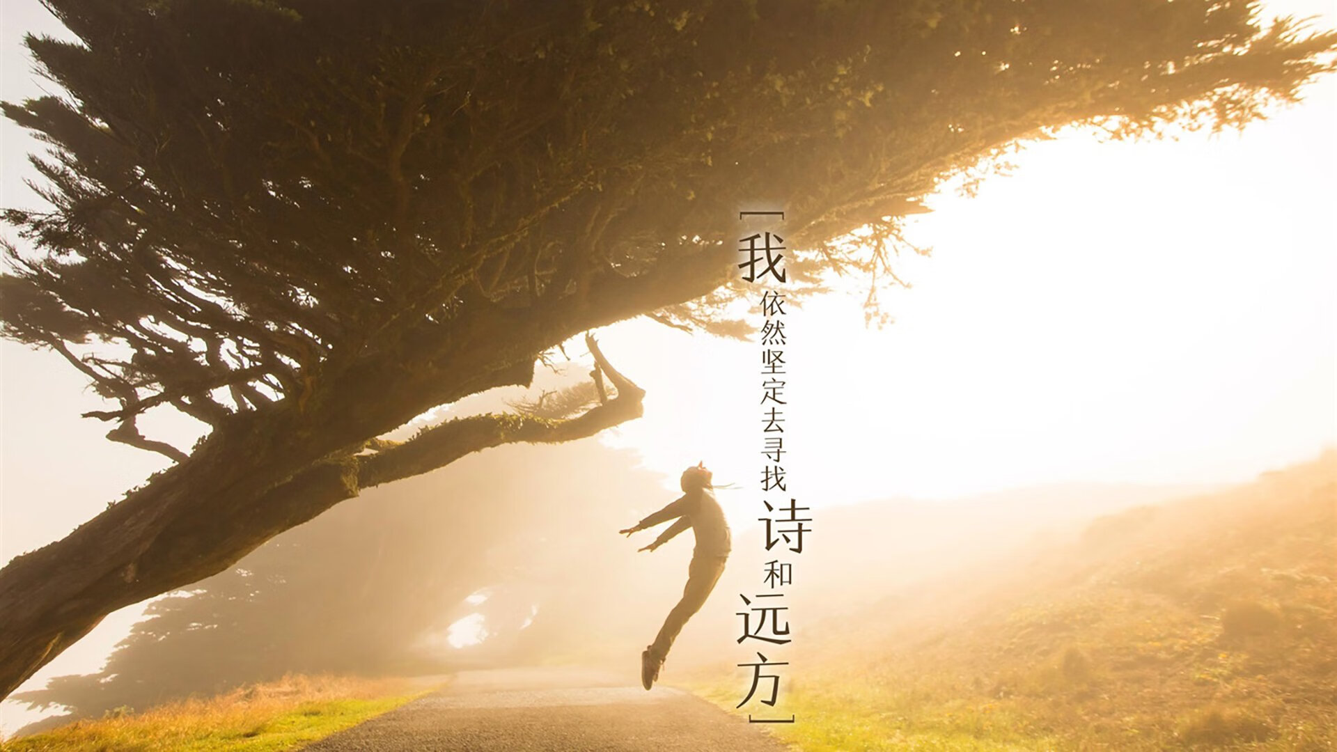 星辰坠落与高卢雄鸣，H组唯一性的宿命对决，维尼修斯舞破铁壁，法兰西以稳固筑就天堑